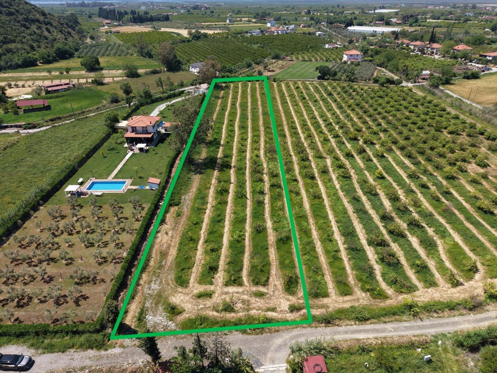 5100 M² Großes Grundstück In Der Nähe Des Stadtzentrums Von Dalyan Zu Verkaufen.