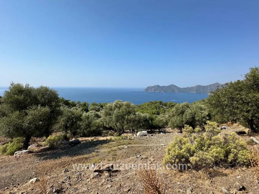 Feld Zu verkaufen in Çandır Bz. Köyceğiz - Feld-Zonierung - 21.000 m²