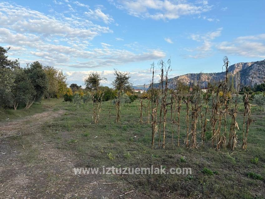 7.450 M² Großes Grundstück In Dalyan Mit 5%iger Zonierung Zu Verkaufen.