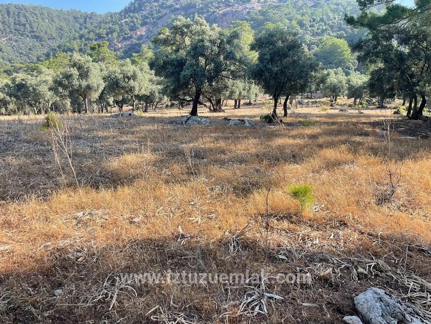 Schnäppchengrundstück Zum Verkauf Mit Meerblick In Der Gegend Von Ekincik-çandır.