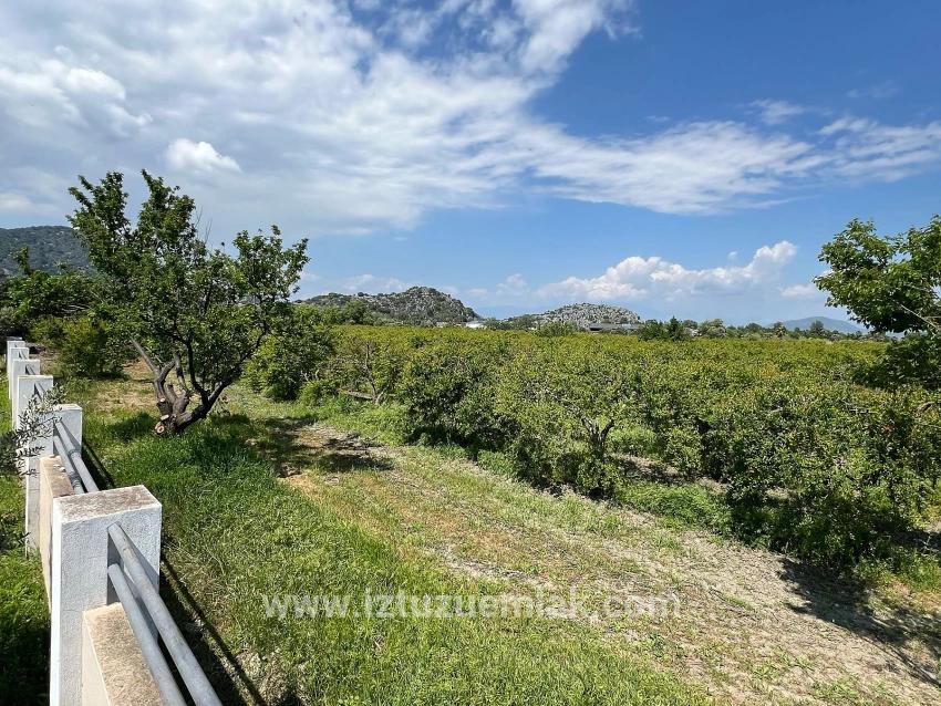5.100 M² Großes Grundstück In Dalyan, Gebiet Maraş, Zu Verkaufen, Ausgewiesen Für 5% Wohnnutzung.