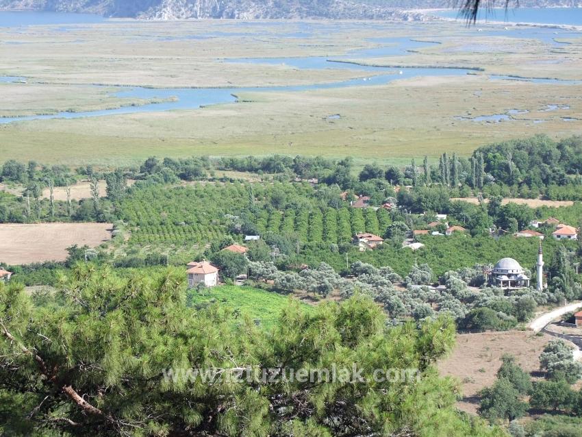 19.334 M² Großes Grundstück Zum Verkauf In Çandır, Köyceğiz.