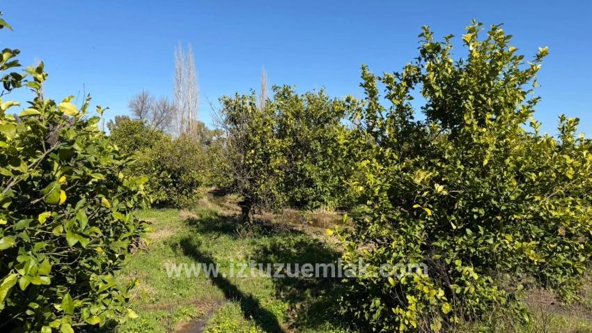 2.218m2 Grundstück Zum Verkauf In Okçular Marmarlı