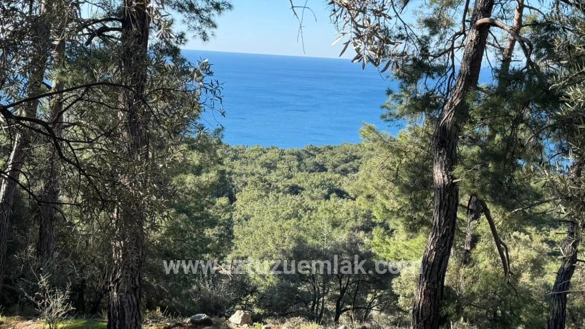 Feld Zu verkaufen in Çandır Bz. Köyceğiz - Gehäuse-Zonierung - 5.715 m²
