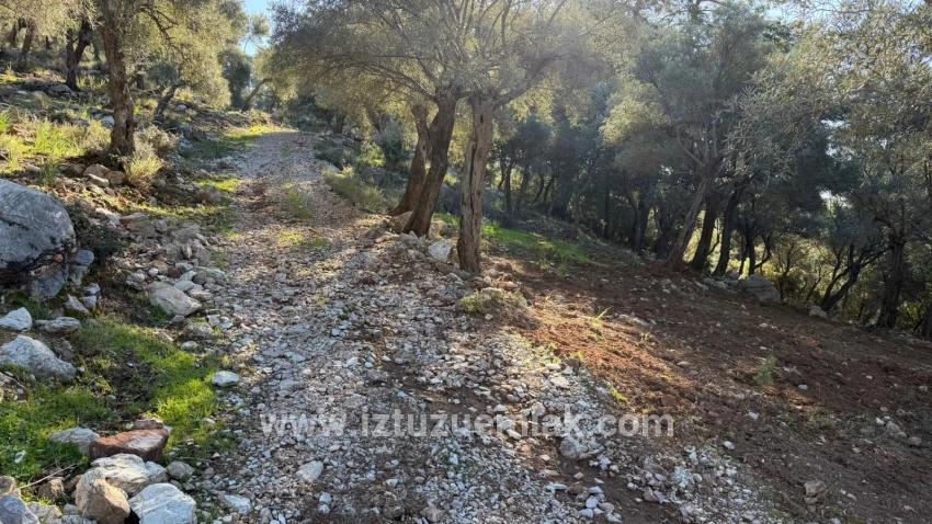 2b-feld Von 5715 M2 Zum Verkauf Mit Vollem Meerblick In Çandır