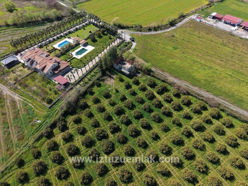 17.550 M2 Weinberg-bahce Zum Verkauf In Der Nähe Des Dalyan Centers