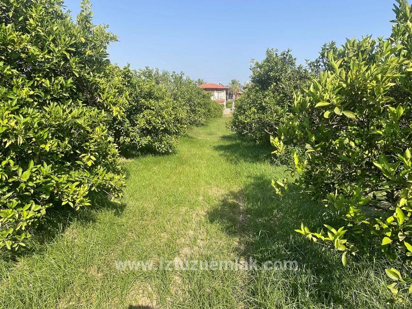 722m2 Grundstück Zum Verkauf In Dalyan Gülpınar