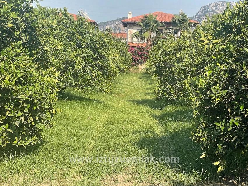 722m2 Grundstück Zum Verkauf In Dalyan Gülpınar