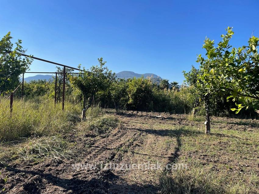 6600 M² Großes Grundstück In Der Nähe Des Zentrums Von Dalyan Zu Verkaufen.