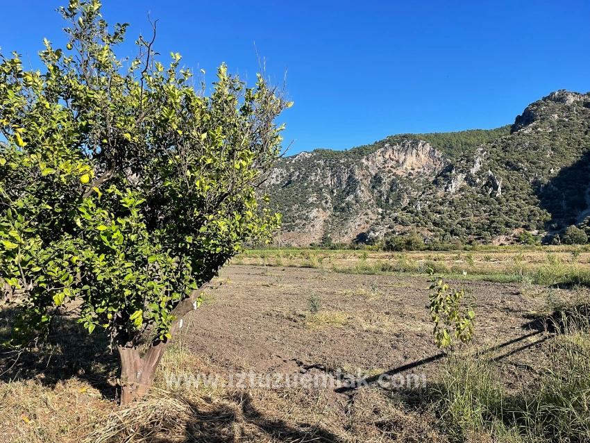 6600 M² Großes Grundstück In Der Nähe Des Zentrums Von Dalyan Zu Verkaufen.