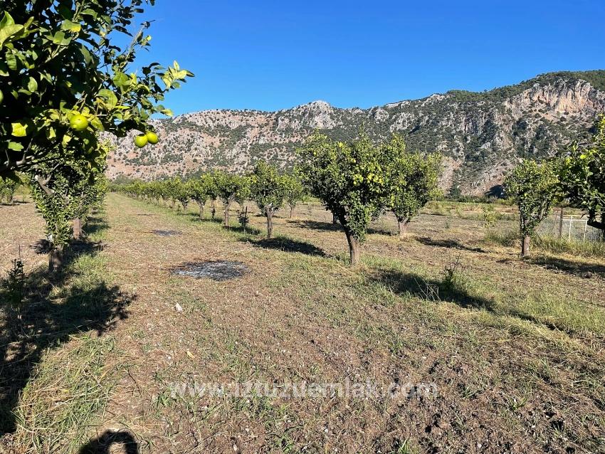 6600 M² Großes Grundstück In Der Nähe Des Zentrums Von Dalyan Zu Verkaufen.