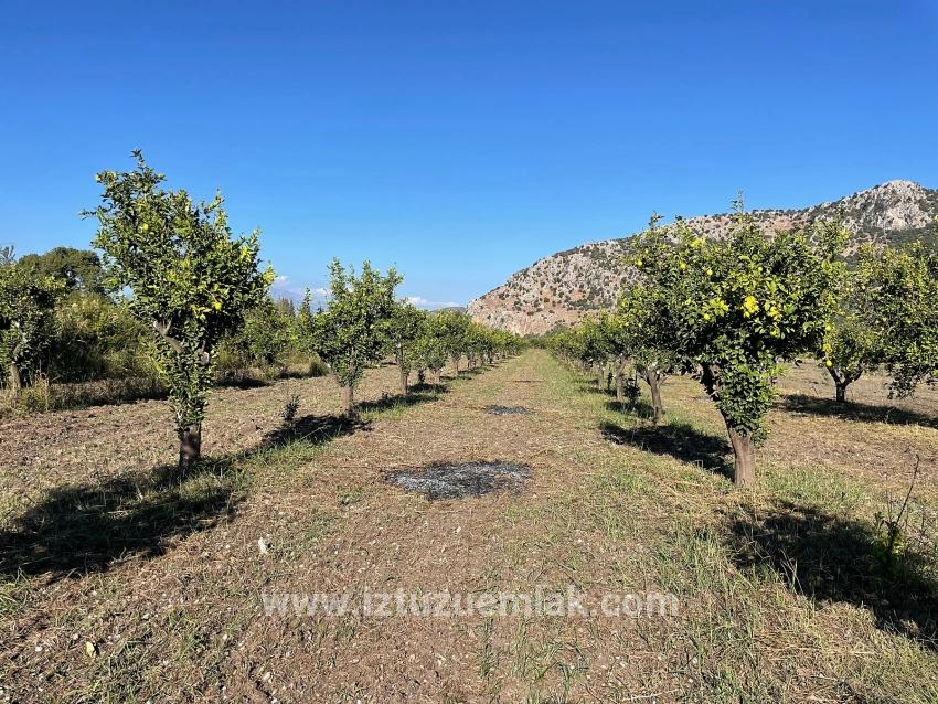 6600 M² Großes Grundstück In Der Nähe Des Zentrums Von Dalyan Zu Verkaufen.