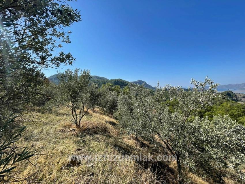 3514 M² Grundstück Zum Verkauf Mit Vollem Meerblick In Gökbel