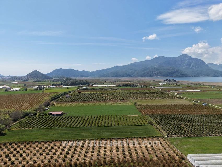 Feld Zu verkaufen in Eskiköy Bz. Ortaca - Feld-Zonierung - 16.000 m²