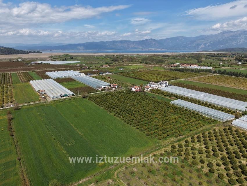 Feld Zu verkaufen in Eskiköy Bz. Ortaca - Feld-Zonierung - 16.000 m²