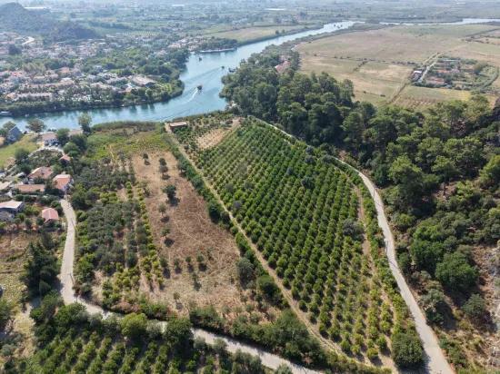 Im Köyceğiz Çandır Mahallesinde kanala sıfır 20.000m2 satılık Feld
