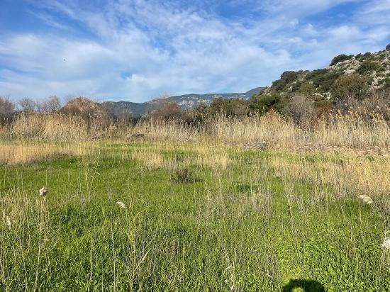 6800 M² Großes Grundstück In Dalyan Zu Verkaufen, 5% Wohnbebauungszone.