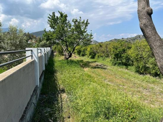 5.100 M² Großes Grundstück In Dalyan, Gebiet Maraş, Zu Verkaufen, Ausgewiesen Für 5% Wohnnutzung.