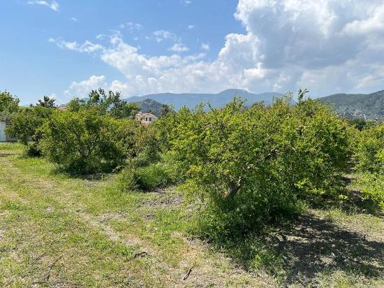 5.100 M² Großes Grundstück In Dalyan, Gebiet Maraş, Zu Verkaufen, Ausgewiesen Für 5% Wohnnutzung.