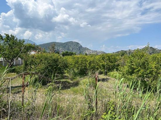 5.100 M² Großes Grundstück In Dalyan, Gebiet Maraş, Zu Verkaufen, Ausgewiesen Für 5% Wohnnutzung.