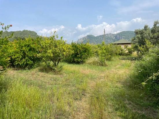 7800 M² Großes Grundstück Zum Verkauf In Gökbel, Neben Der Iztuzu Beach Road