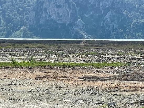 19.600 M² Großes Grundstück Zum Verkauf, Direkt An Der Straße Dalyan Iztuzu Beach Gelegen.