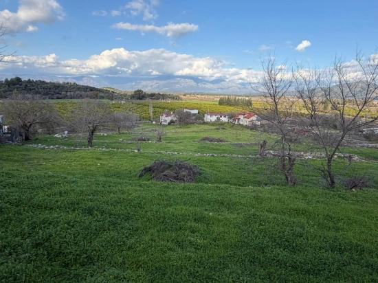 11.230 M² Großes Grundstück Mit Seeblick In Dalyan Zu Verkaufen.
