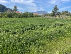 Land Zu verkaufen in Okçular Bz. Ortaca - Gehäuse-Zonierung - 736 m²