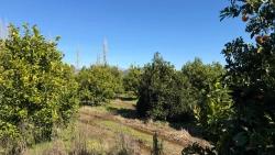 Land Zu verkaufen in Okçular Bz. Ortaca - Gehäuse-Zonierung - 2.218 m²