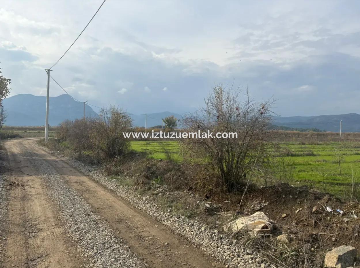 Einzeleigentumsurkunde 5617M2 Zitronengarten Zum Verkauf In Tepearası