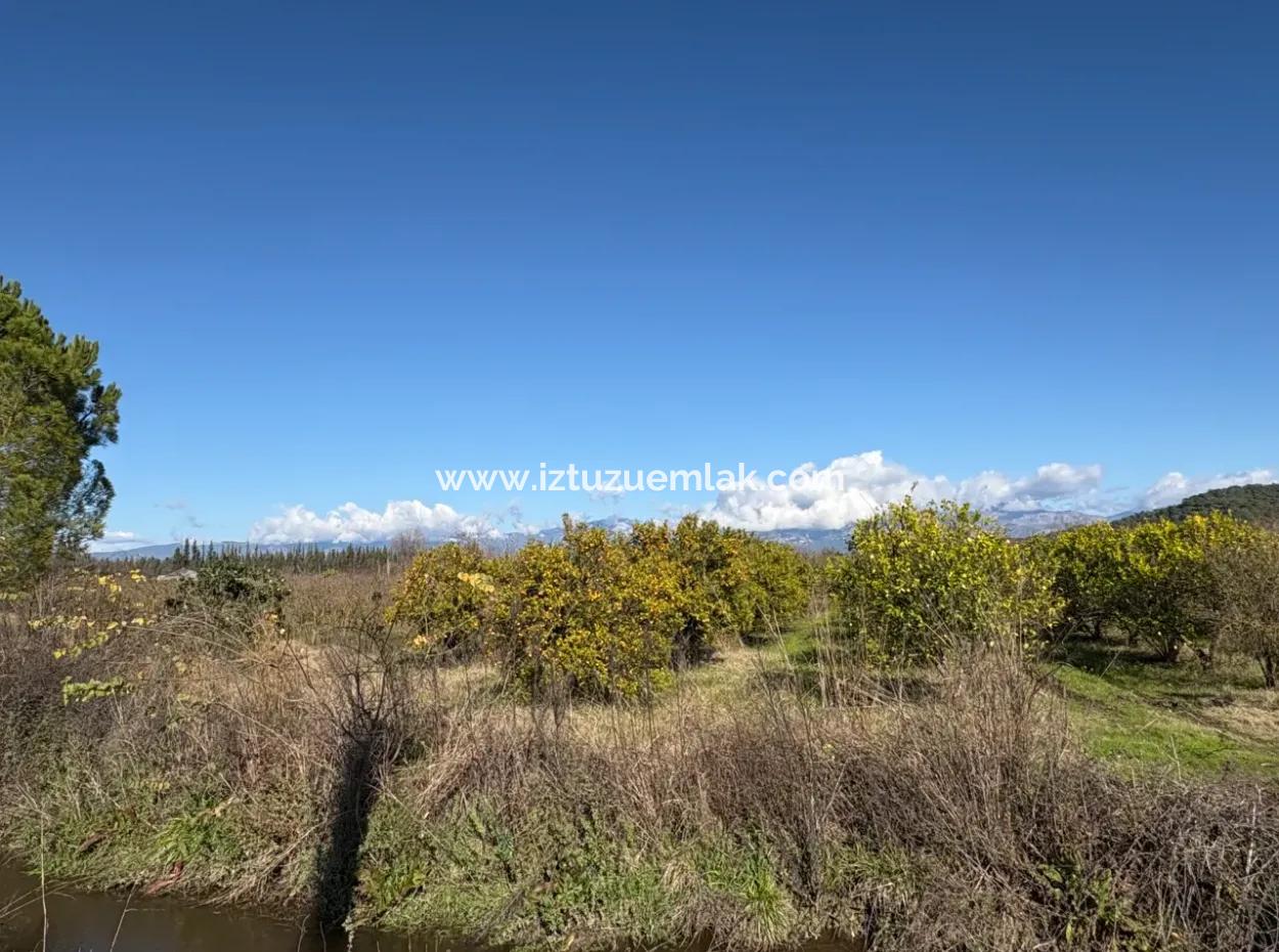 23.000M2 Freistehender Feldgarten Zum Verkauf In Tepearasin,