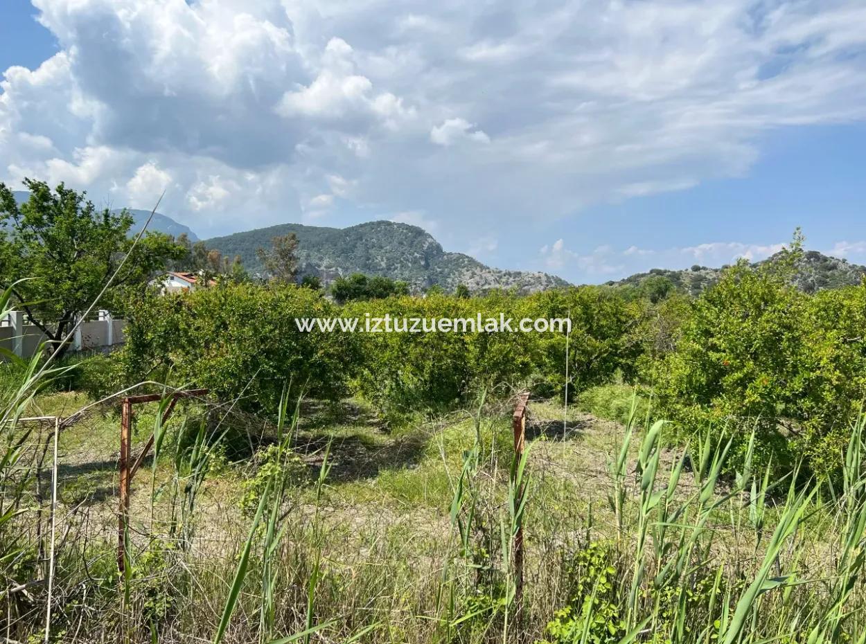 5.100 M2 Land Zum Verkauf In Der Gegend Von Dalyan Maraş Mit 5% Wohnzone