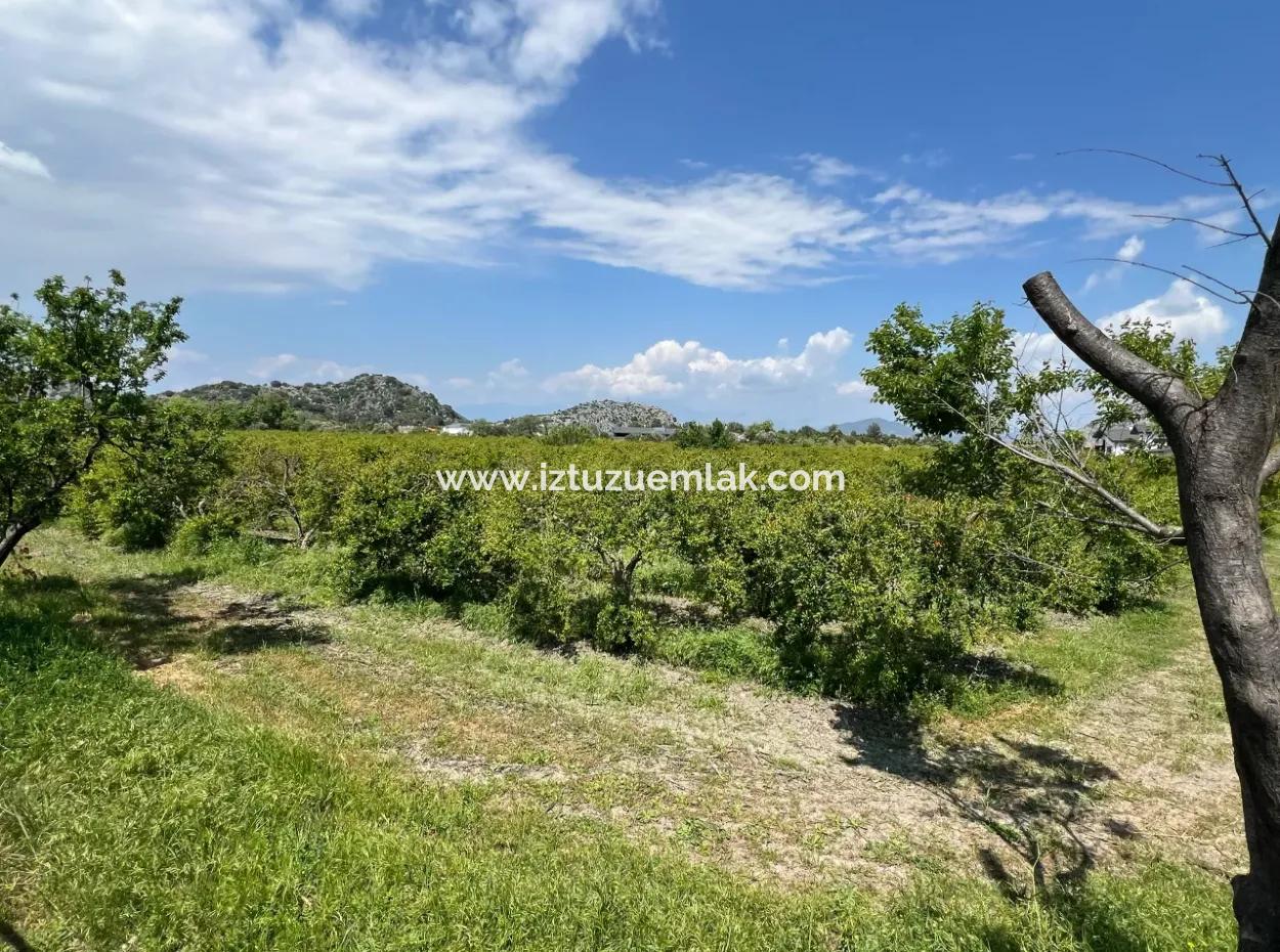 5.100 M2 Land Zum Verkauf In Der Gegend Von Dalyan Maraş Mit 5% Wohnzone