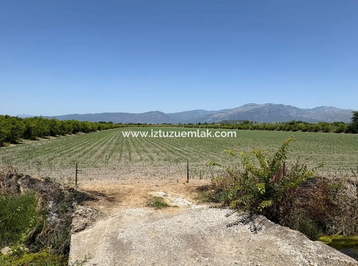 46.550M2 Grundstück Zum Verkauf In Tepearası