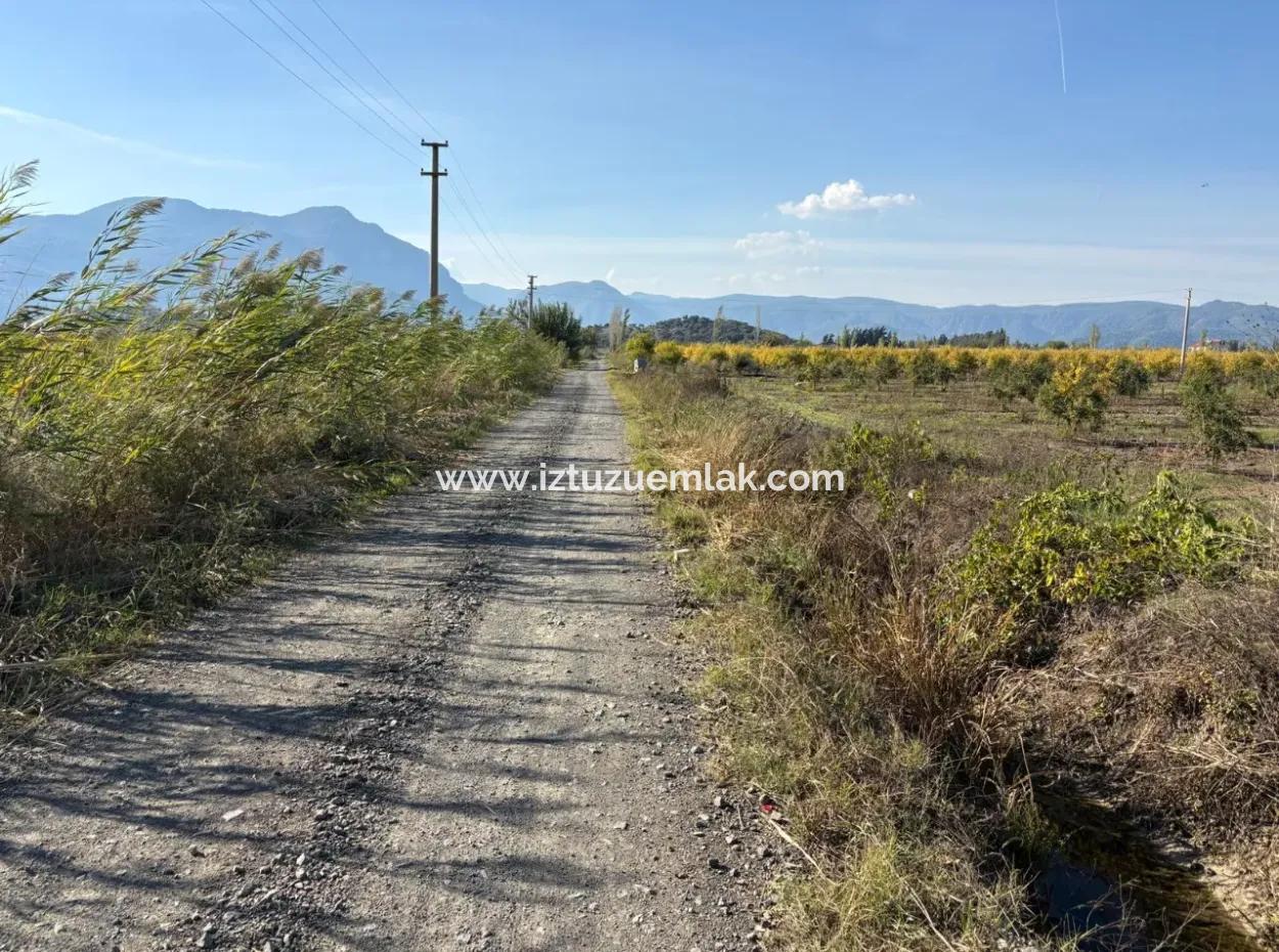 21500M2 Granatapfelgarten Zum Verkauf In Eskiköy