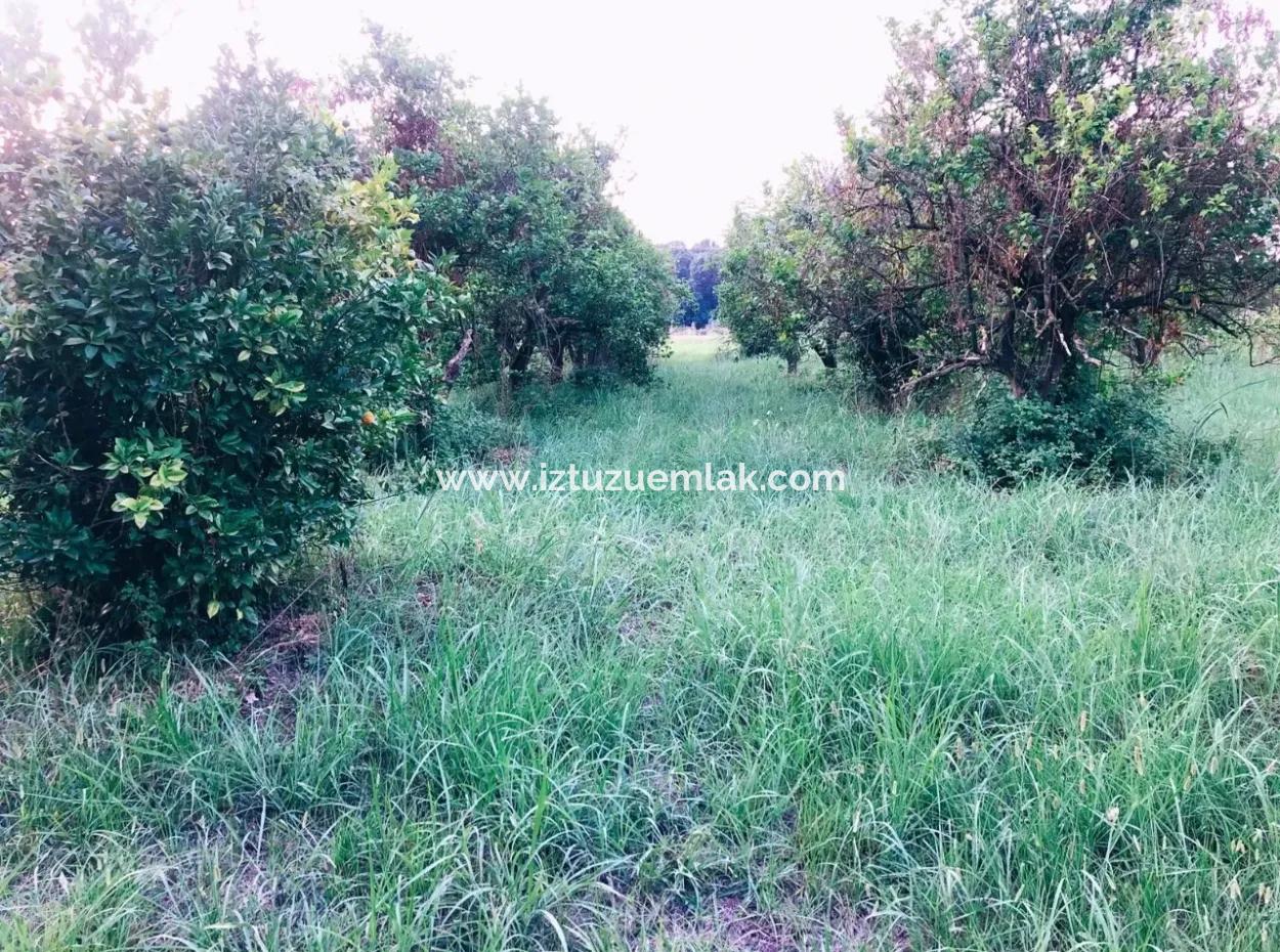 Archer In Die Bogenschützen Grundstück Zum Verkauf Zum Verkauf In Marmarli 1,500M2 Grundstück Zum Verkauf