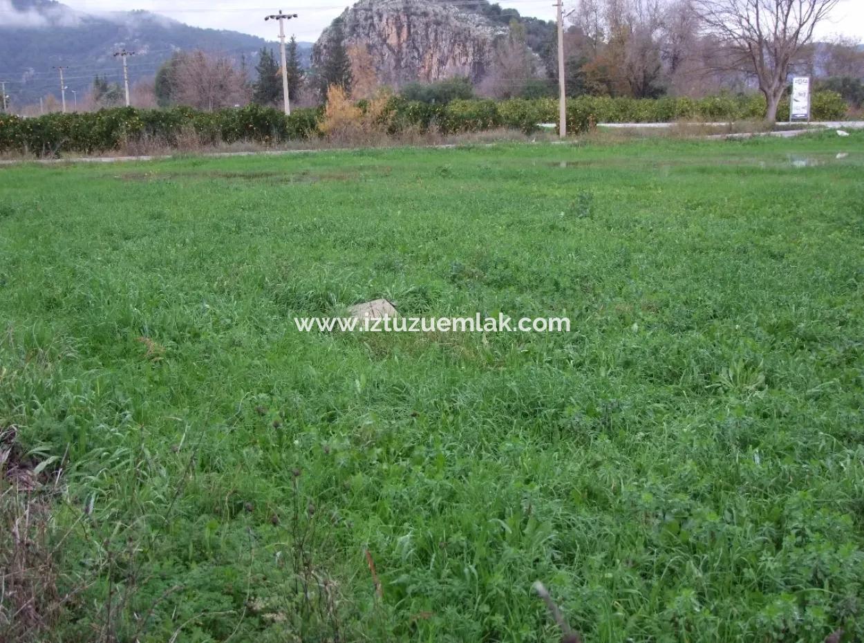 Gulpinar Dalyan Dalyan Zum Verkauf In 1002M2 Grundstück Für Verkauf Zum Verkauf Eckstein