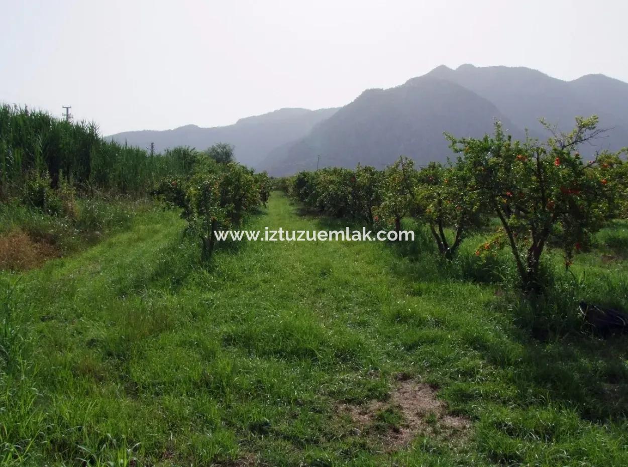 Merkez Dalyan Iztuzu See-Garten-Villa Zum Verkauf