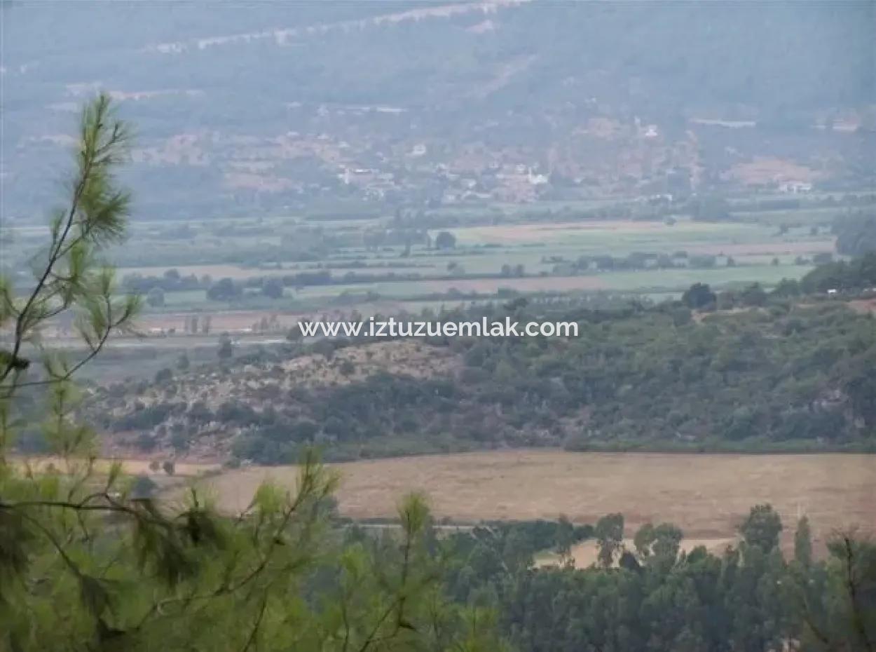 Gökçe Gökçe 21671M2 Bauernhof Zum Verkauf Zum Verkauf