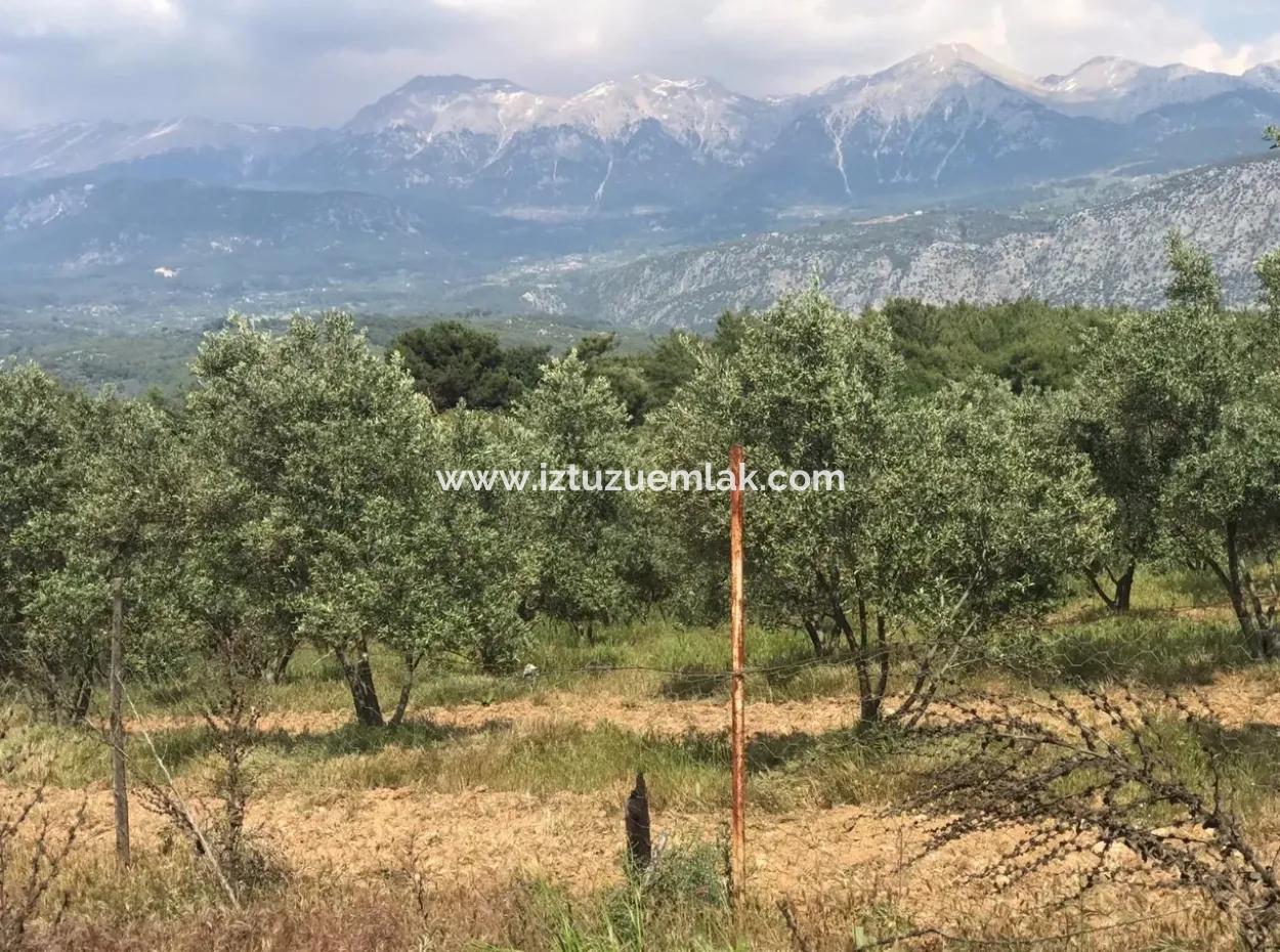 Ackerland Zum Verkauf In Seydikemer Korubuku 76000M2