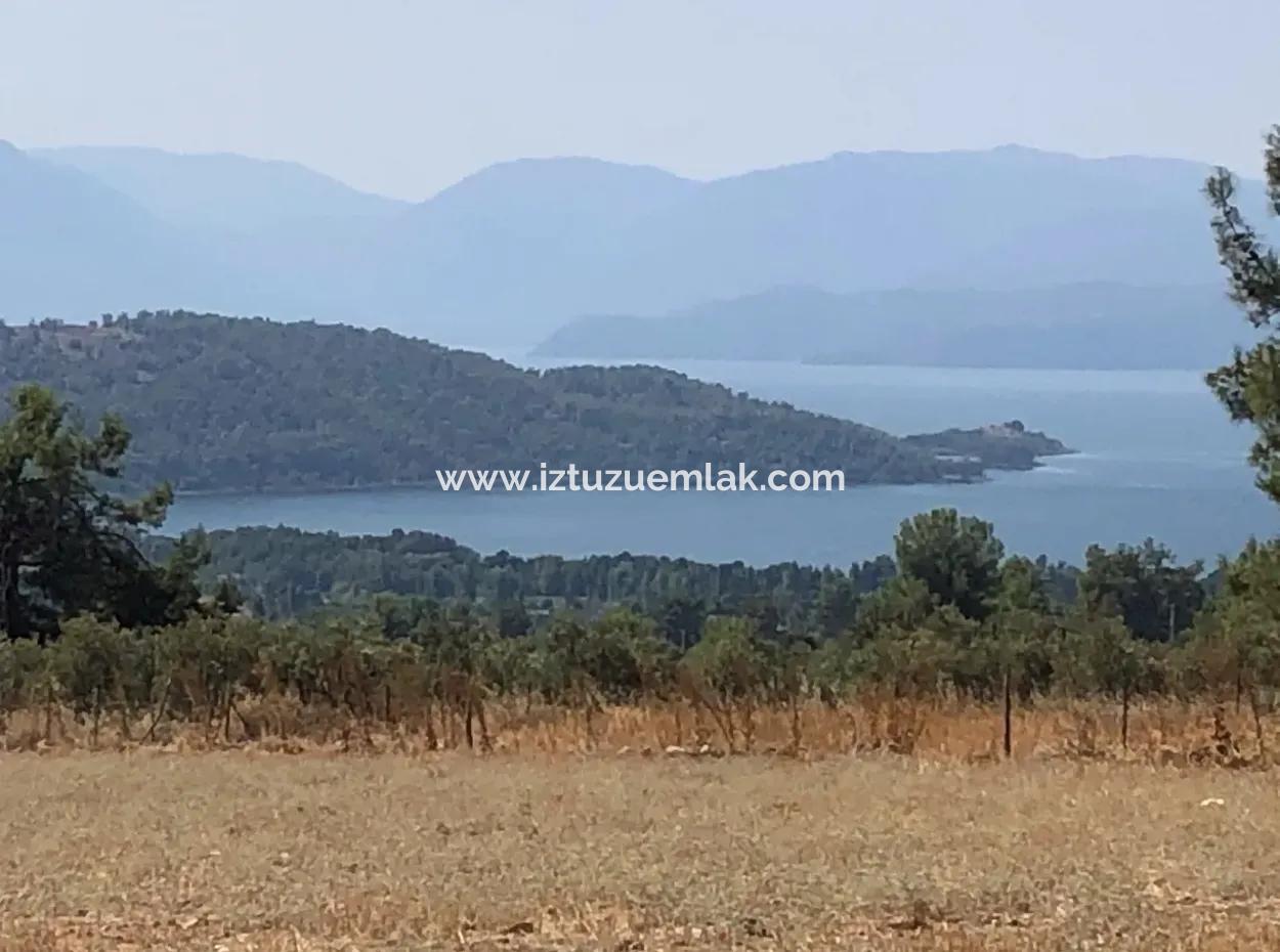 11.227M2 Grundstück Zum Verkauf Mit Seeblick In Köyceğiz Zeytinalan