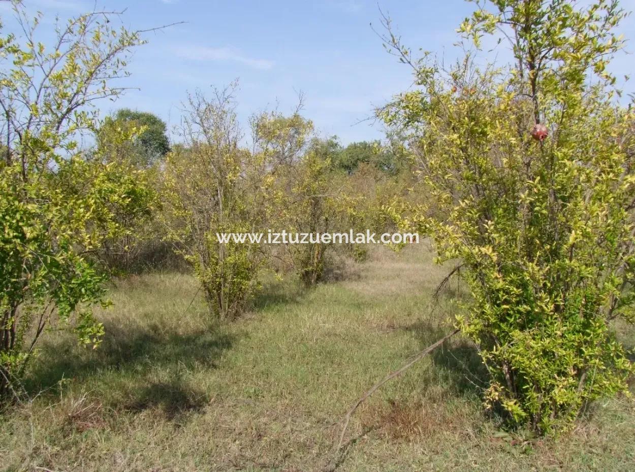 Güzelyurt Land Zu Verkaufen Dorf Gebaut 6670M2 Land Zum Verkauf