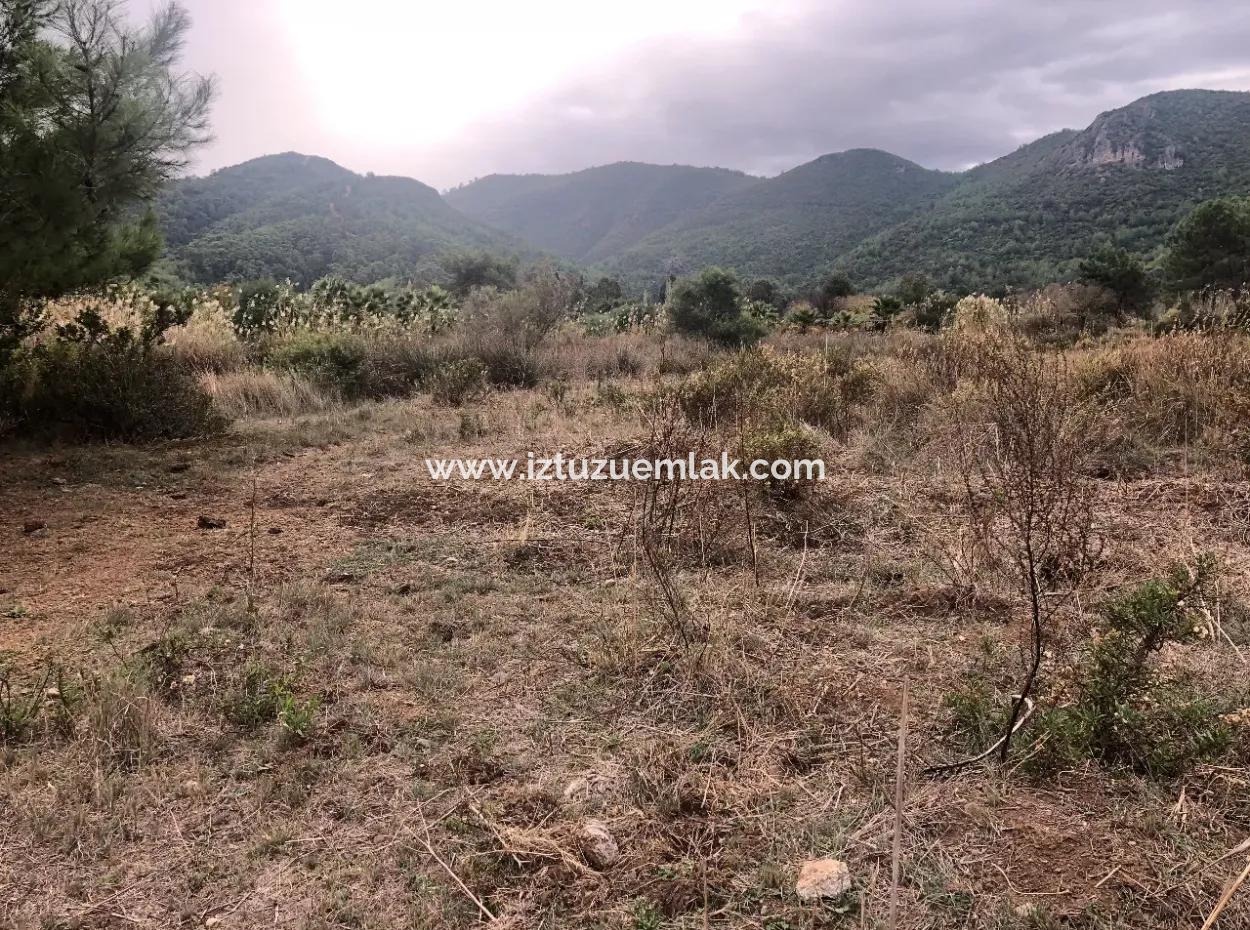 Land Zum Verkauf Null Zu 'Aml' Kanal 28768M2 Land Zum Verkauf Mit Meerblick In Camlida