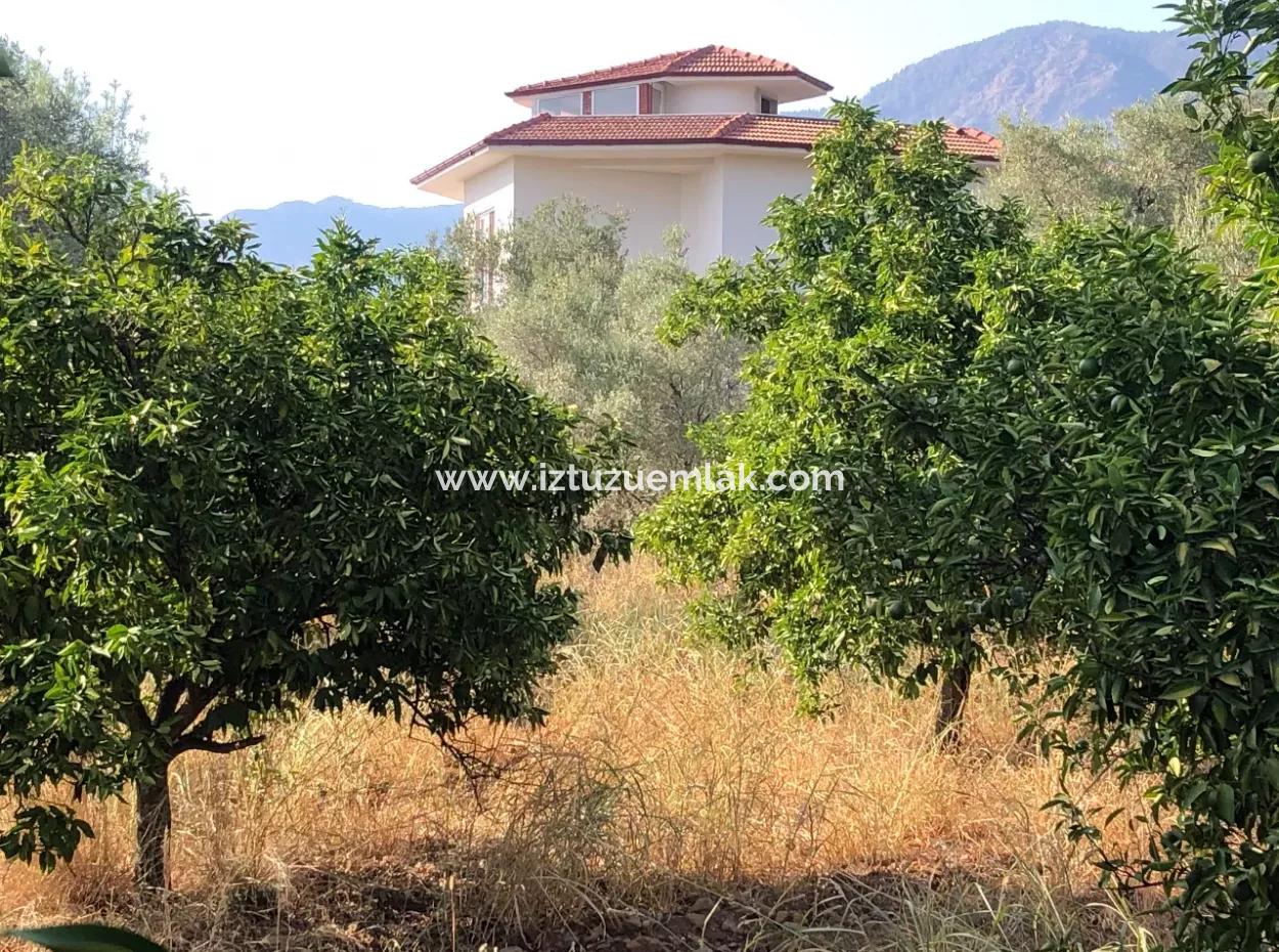 Landfeld Zu Verkaufen In Köyce'inz Yangi 9406M2 Land Zu Verkaufen