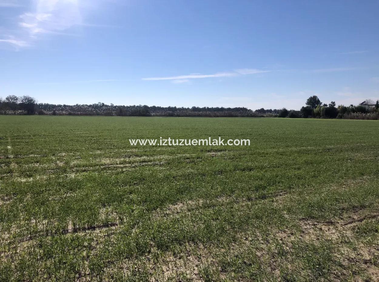 Land Zu Verkaufen In Sar'germede 30.000M2 Land Zum Verkauf Mit Meerblick