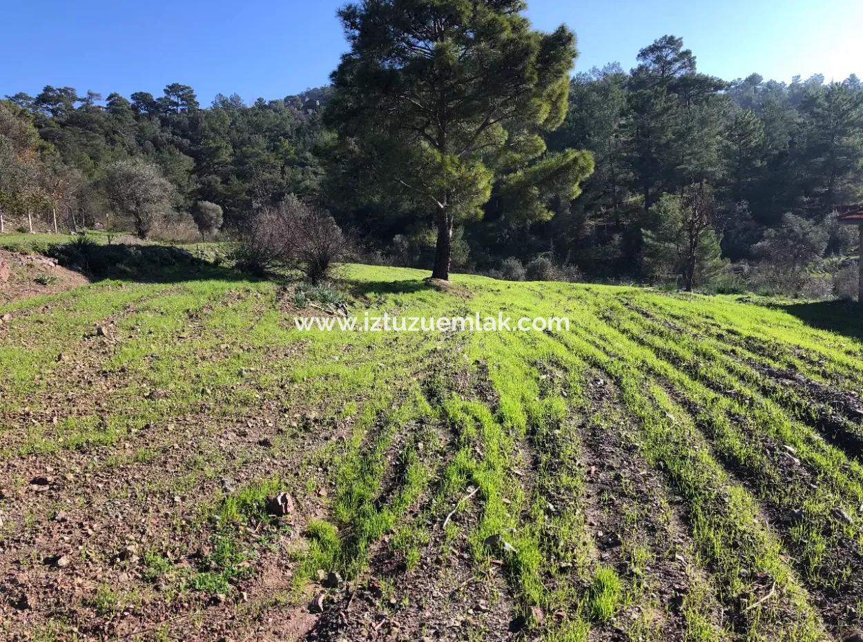 Gokbel Land Zu Verkaufen 8000M2 Land Zum Verkauf Mit Voller Meerblick