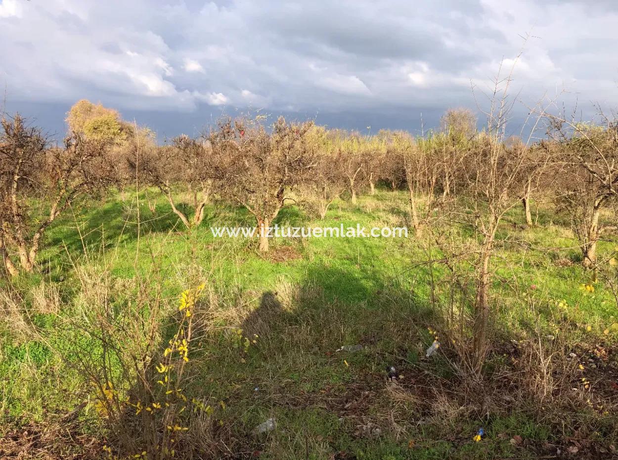 Dalyan Land Zu Verkaufen In Der Nähe Des Zentrums 3000M2 5% Zoning Land Zu Verkaufen