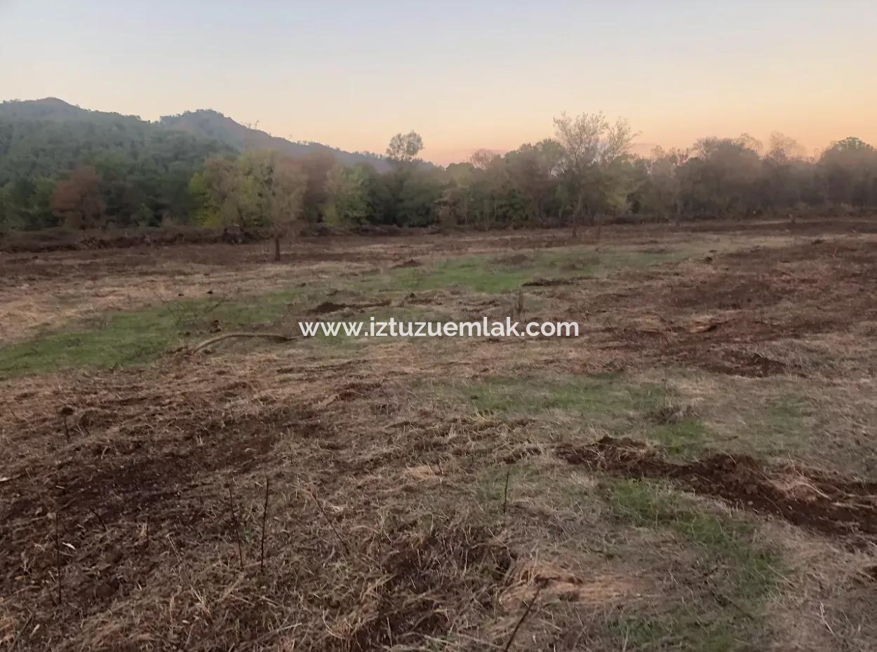 Sultaniye Land For Sale Near 10577M2 Lake Land For Sale