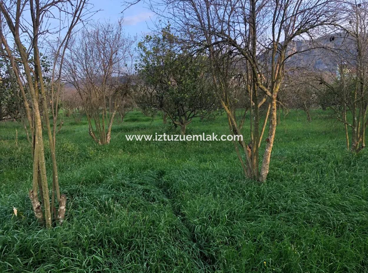 Bogenschützen Grundstück Zu Verkaufen 4707M2 Land Zu Verkaufen
