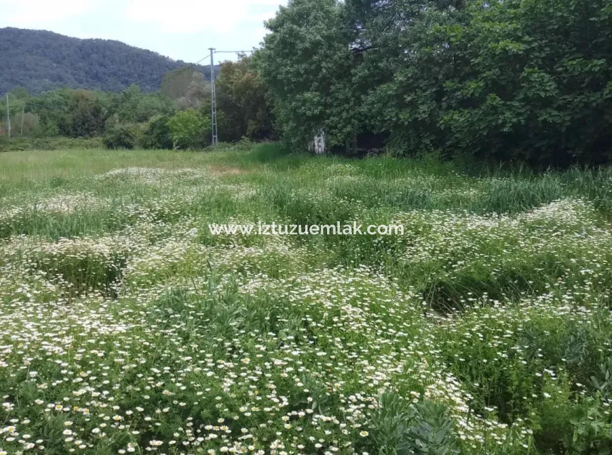 Grundstücke Zu Verkaufen In Amlida